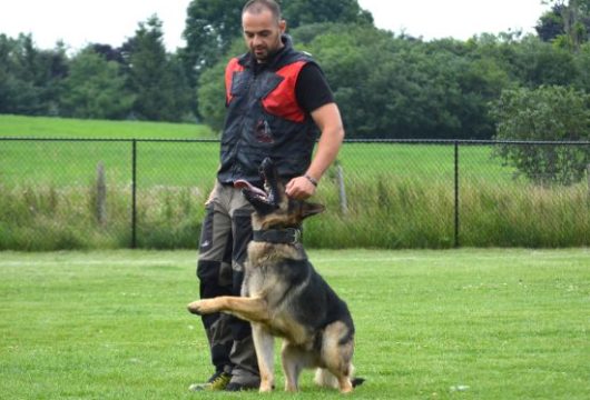 DSC_0222-550×395 DSC_0222-550x395